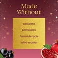thumbnail image 6 of (2 pack) Glade® PlugIns® Refills Air Freshener, Christmas Holiday Pomegranate & Currant, 3.35oz., 5 Count, 6 of 13