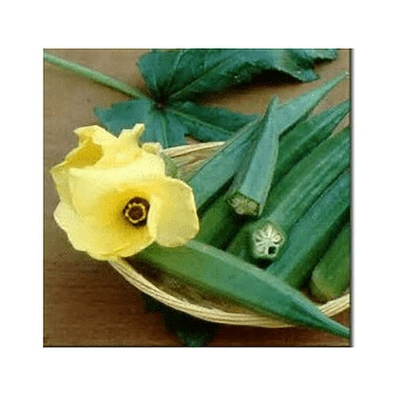 Okra Perkins Long Pod Great Heirloom Vegetable by Seed Kingdom Bulk 1 Lb Seeds