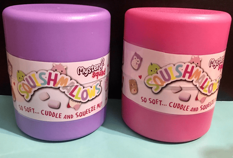 squishmallow blind box