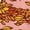 DESERT PINK, variant on Peanuts - Snoopy & Woodstock Leaves - Youth Girls Fitted Short Sleeve T-Shirt