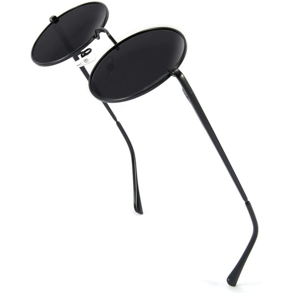 FEISEDY Retro Round Polarized Sunglasses Women Men Spring Hinge Metal Frame B2528