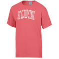 thumbnail image 2 of Men's ComfortWash  Pink St. Cloud State Huskies Distressed T-Shirt, 2 of 3