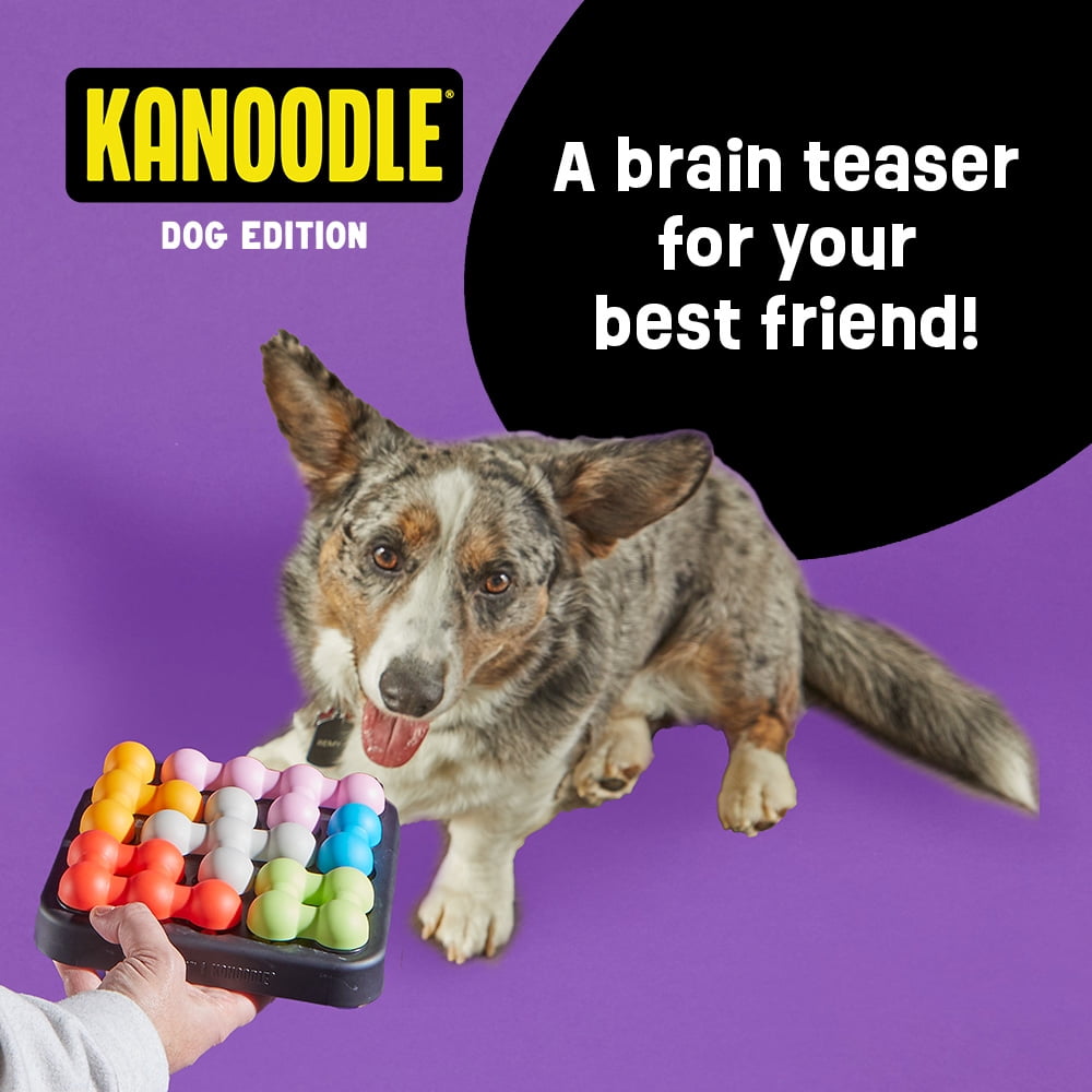 Brightkins Kanoodle Dog Edition Small, Interactive Dog Toys, Dog Puzzle Toy, Enrichment Toy For Dogs, Dog Slow Feeder