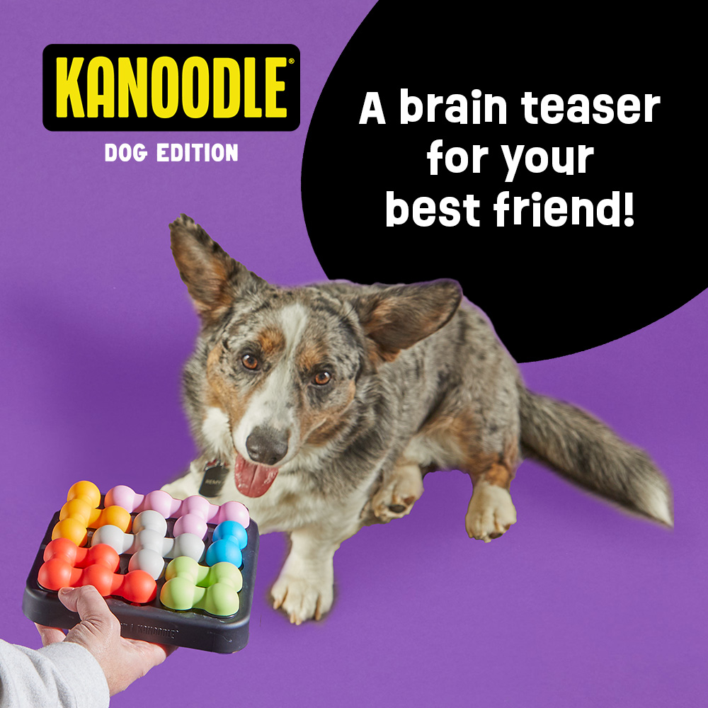 Brightkins Kanoodle Dog Edition Small, Puzzle Toy photo 2