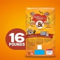 Purina Friskies Dry Cat Food, Tender & Crunchy Combo, 16 lb. Bag