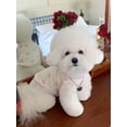 thumbnail image 3 of 1pc Cartoon Graphic Pet Tank Top For Dog And Cat For Spring And Summer, 3 of 4