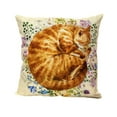 thumbnail image 1 of Cat | Ginger | Cat Pillow | Cute Cat | Cat Gifts | Cat Decor | Cat Photo | Gifts for Cat Lovers | Accent pillow | Throw Pillow Covers, 1 of 3