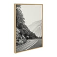 thumbnail image 2 of Sylvie Highland Cow, Wandering and Vintage Botanical 23 in x 33 in Framed Photography Canvas Art Prints, by Kate and Laurel Set of 3, 2 of 6