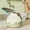 Green, variant on TIMIFIS Cotton to Wel Household Sharpening Stone Kitchen Double Sided Sharpening Stone with Base Non Slip Knife Sharpener Polishing Grinding Knife Sharpening Tool Kitchen Gadgets