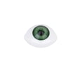 thumbnail image 4 of 8 12mm Iris Oval Eyes Eyeballs For Doll, 4 of 8
