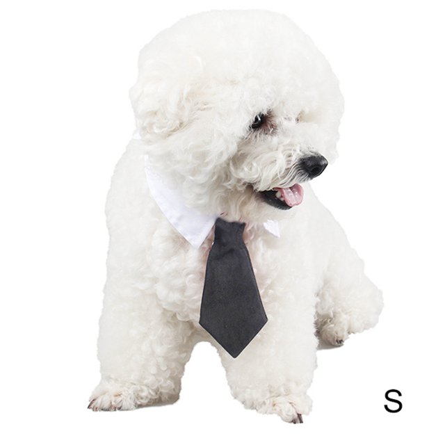 Collier pour Animaux de Compagnie Mignon Mode Simple Coton Chat Cravate Cravate pour Chaton
