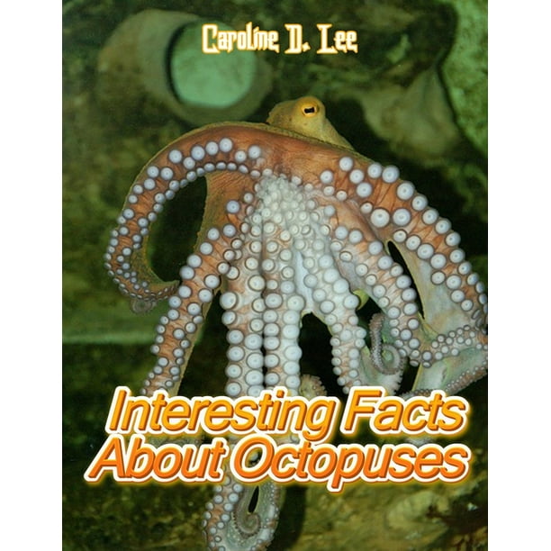 Interesting Facts About Octopuses : Animal fact for girl age 1-10 Animal fact for boy age 1-10 interesting facts about octopuses interesting info about octopuses (Paperback) Interesting Facts About Octopuses : Animal fact for girl age 1-10 Animal fact for boy age 1-10 interesting facts about octopuses interesting info about octopuses (Paperback)