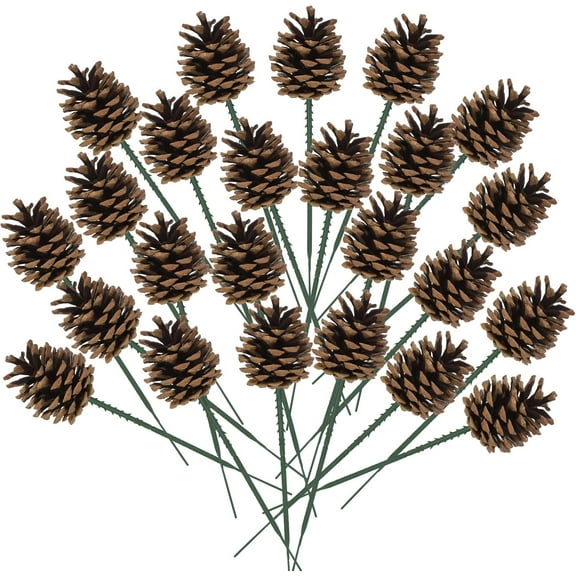 Dalrosia 20PCS Christmas Pine Cones Decorations Picks - Snow Pine Cone for Xmas Tree Garland Wreath Ornaments Pinecones Decorating Winter Holidays Home