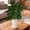 F, variant on Briful Fake Olive Branches in Rustic Metal Vase 36.22'' Faux Olive Greenery Stems Artificial Potted Plant for Farmhouse Home Living Room Bathroom Kitchen Table Centerpiece Decor (6 Cross Gray)