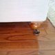 thumbnail image 5 of GOOHOCHY 10 almohadillas antideslizantes para muebles del hogar, fiables, para piano, a prueba de golpes., 5 of 8