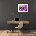 thumbnail image 3 of Grayscale 18x15 White Modern Wood Framed Museum Art Print Titled - Snail Bloom II, 3 of 4
