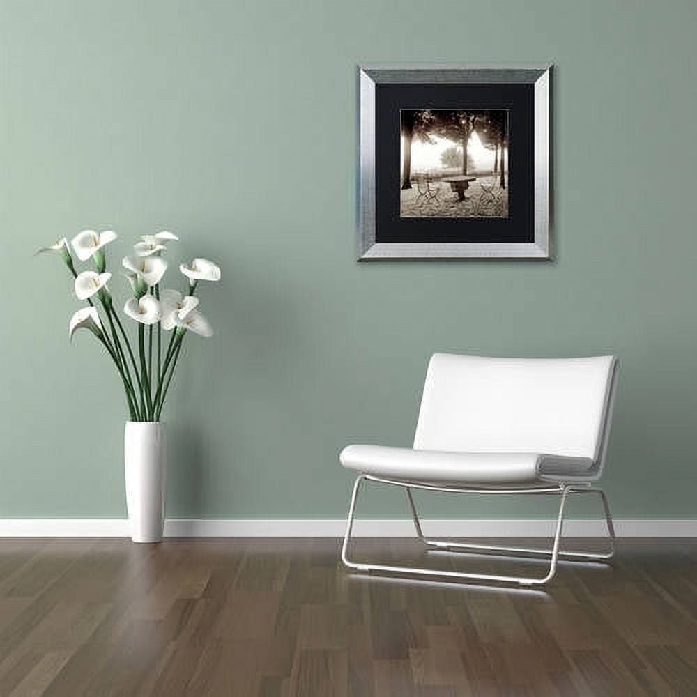 Trademark Fine Art "Fiesloe Giardini I" Canvas Art by Alan Blaustein, Black Matte, Silver Frame