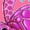 Hot Pink, variant on Inktastic Cute Pink Sea Turtle Boys or Girls Long Sleeve Toddler T-Shirt
