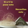 thumbnail image 3 of AMAI Dúo Anticaída en Barra Shampoo y Acondicionador - Menta, Romero y Eucalipto, 3 of 5