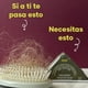 thumbnail image 3 of AMAI Dúo Anticaída en Barra Shampoo y Acondicionador - Menta, Romero y Eucalipto, 3 of 5
