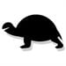 thumbnail image 2 of Turtle Magnet, 2 of 2