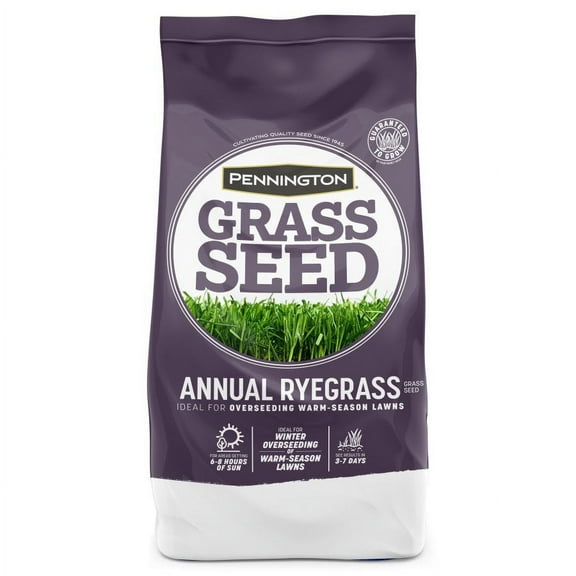 Pennington Annual Ryegrass Overseeding Grass Seed, Full Sun to Partial Shade 25 lb, 1 Bag,