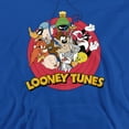 thumbnail image 2 of Looney Tunes Smaller Group Unisex Adult Pull-Over Heather Hoodie, X-Large, Royal, 2 of 4