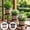 2 Pcs,2 Colors, variant on Planters for Outdoor Plants Imitation Whiskey Barrel Plastic Flower Pot 8.85 Inch, Wood Grain Decorative Planter with Drainage Holes & Matching Saucer for Garden Balcony Indoor Potted Plant Decor