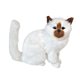 thumbnail image 4 of Figura de gato realista figura de gato foto de juguete, lindo animal relleno de réplica de mascotas para el hogar, coche, sala de estar Estilo E, 4 of 8