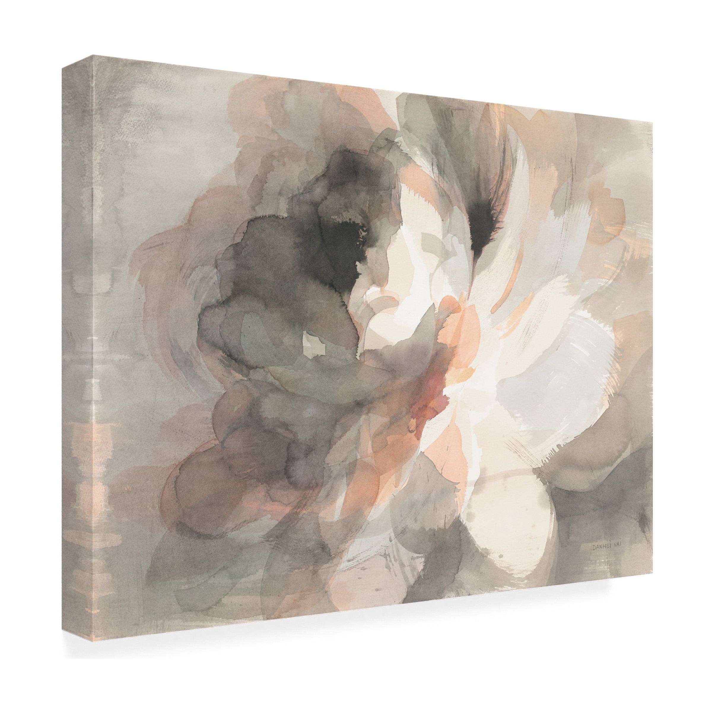 Danhui Nai 'Abstract Peony' Canvas Art
