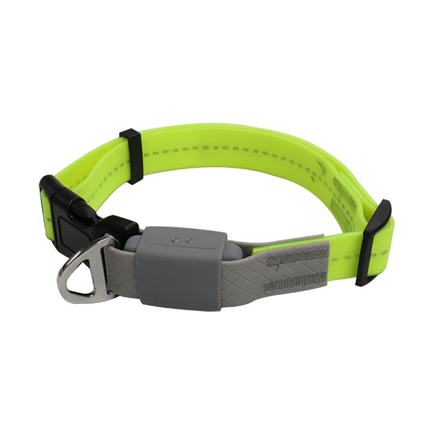 Collar de perro KOOWIN Collar de mascota brillante Collares de seguridad ajustables para mascotas