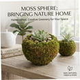 thumbnail image 4 of Moss Ball Planter Pot,Moss Sphere Potted Container, 5.91-Inch Outer 3.15-Inch Inner Horticultural Planting Bowl for Green Succulent Bonsai Display, 4 of 5