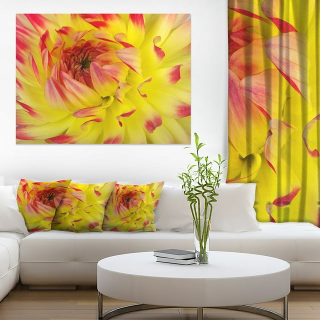 Pétales de Fleurs Jaunes Rouges Lisses - Impression sur Toile Florale