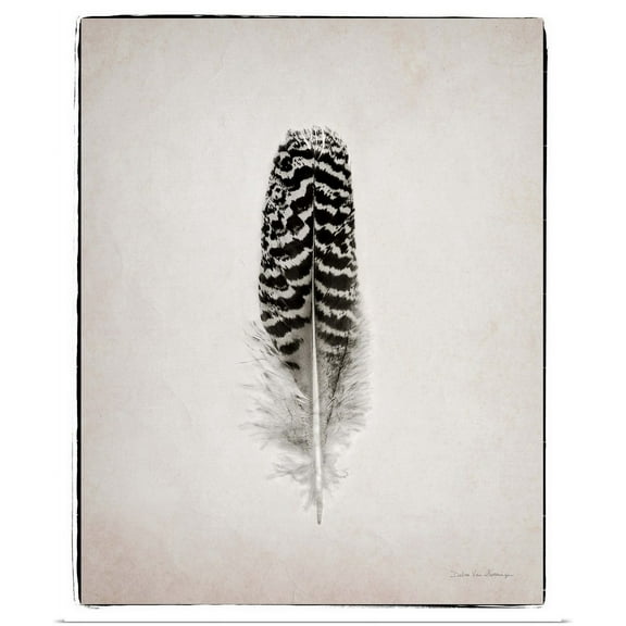 Great BIG Canvas | "Feather I BW" Art Print - 16x20