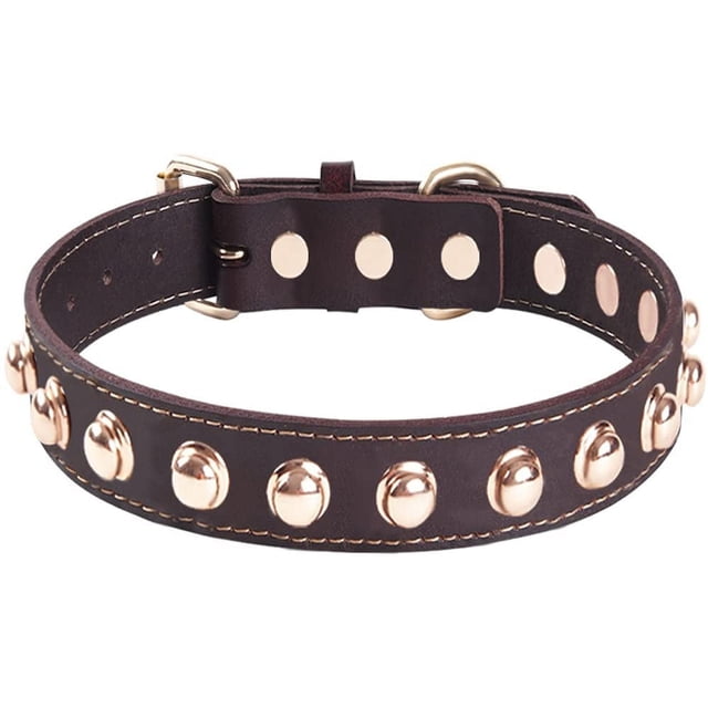 Collier pour Chien Complet Collier Champignon Collier Rivets Cuir Punk Collier Blogueur Ajustable Chiot Labrador Huskie