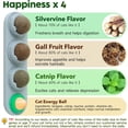 thumbnail image 2 of Catnip Silvervine Ball Cat Energy Lick Chew Dental Treats, 2 of 7