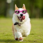 Pet Accessories Pet for dogs with adjustable strap and oval fog-free design ideal for indoor outdoor use
