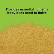 Kaytee Exact Handfeeding for Baby Birds 7.5 ounces