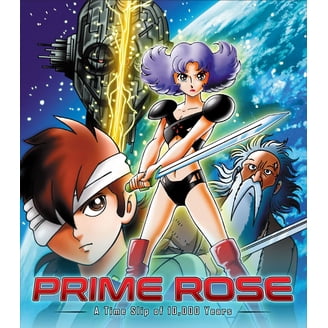 Toriko Secret Recipe Of Gourmet God (DVD) - Walmart.com