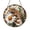 Acrylic 3.5 Inch, variant on Gecko Lizard Stained Glass Suncatcher – Reptile Window Hanging Art