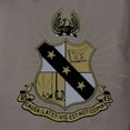 thumbnail image 3 of CafePress - Alpha Sigma Phi Coat Of Arms T Shirt - Womens Comfort Colors® Shirt, 3 of 4
