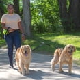 thumbnail image 2 of Acoplador de correas Caldwell's Pet Supply Co. para 2 perros, 2 of 6