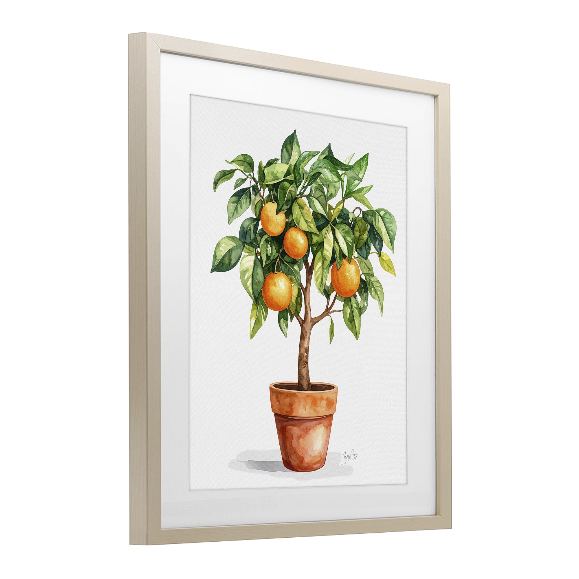 Stupell Industries Potted Orange Tree Birch Framed Print Under Glass, design by Shelly Craig