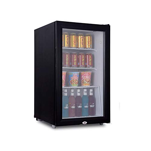 HOLPPO Mini Fridge Froster and Beverage Beer Refrigerator Drinks Cooler