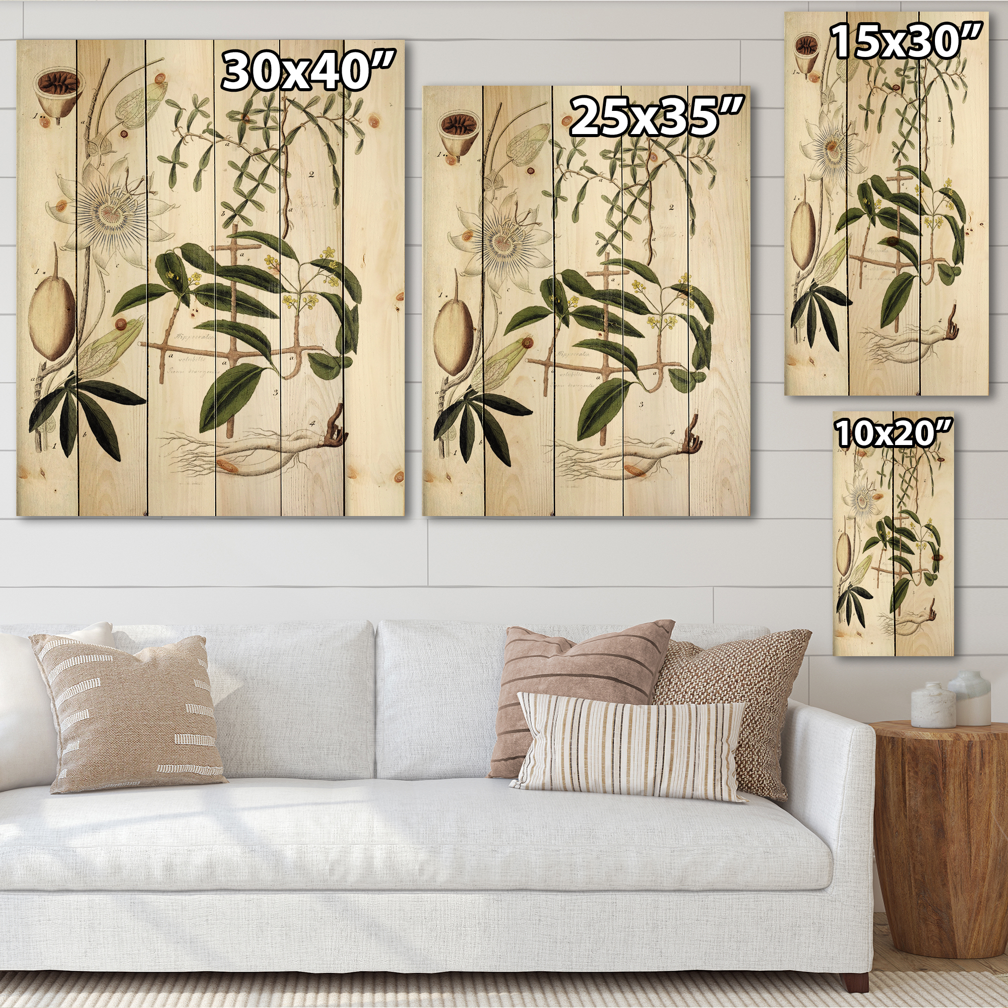 Designart 'Ancient Plant Life IV' Farmhouse Print on Natural Pine Wood