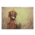 thumbnail image 1 of Animal Cutting Board, Funny Retro Irish Setter Dog Wearing Hat and Sunglasses Humorous Joyful Picture, Decorative Tempered Glass Cutting and Serving Board, Large Size, Redbrown Tan, by Ambesonne, 1 of 1
