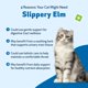 thumbnail image 3 of Suplemento Pet Wellbeing Slippery Elm para gatos, 59 ml, 3 of 8