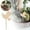 g, variante sur TIELUTT Jardin DIY Suspensions en Bois pour Pots de Fleurs Ornement d'Identification Fait Main Chapeau en Verre Ornement de Noël Transparent pour Artisanat en Vrac Petite Poule Ornement Guirlande pour Décoration