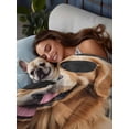 thumbnail image 3 of Funny Dog Print Queen Size Flat Sheet, Wrinkleproof & Fadeproof Cooling Flat Bed Sheet Only, Summer Modern Animals Breathable Soft Bedding Top Sheets 90 x 102 Inches, 3 of 8