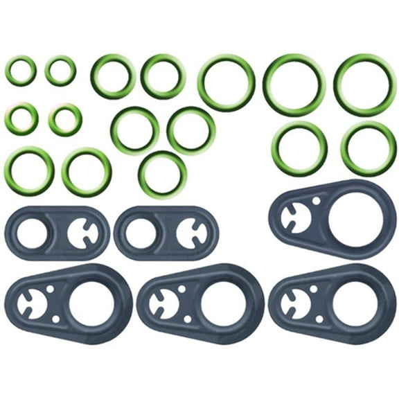 O-Ring & Gasket A/C System Seal Kit